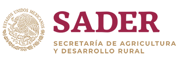 Mexican Department of Agriculture and Rural Development SADER (Mexican Department of Agriculture and Rural Development) Logo